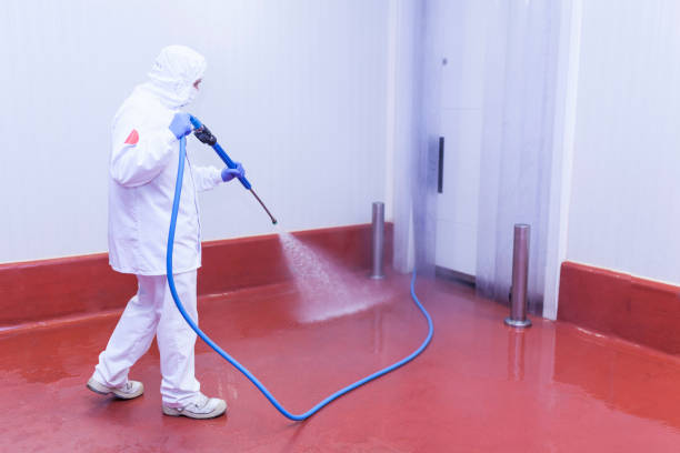 Reliable Triangle, VA Pressure Washing Solutions